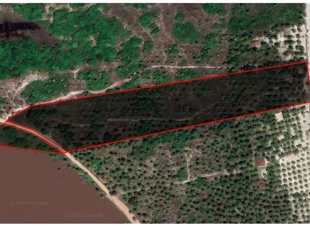 #3 - Terreno para Venda em Canavieiras - BA - 2